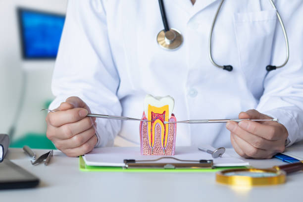 Best Emergency Dental Care for Trauma or Injury in Dodge Center, MN